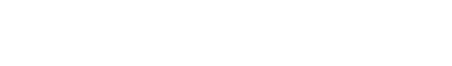 Logotipo de LaraTransfer